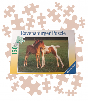 Die Verpackung von einem Puzzle von Ravensburger von oben